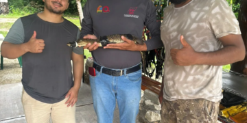 rescate fauna Cozumel