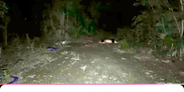 Youtubers de Cancún fingen hallazgo de cuerpo y desatan un operativo de búsqueda