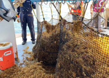 Estrategia de contención