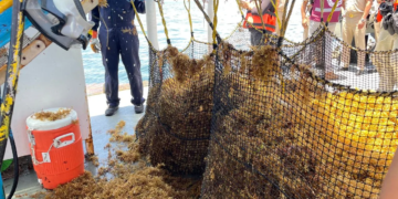 Estrategia de contención