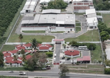 Tecnología y diplomacia: La planta de Chiapas que duplicará el combate al gusano barrenador