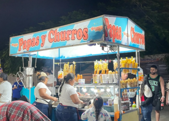 El dilema de los comerciantes: plásticos prohibidos vs. precios imposibles en el Parque de las Palapas