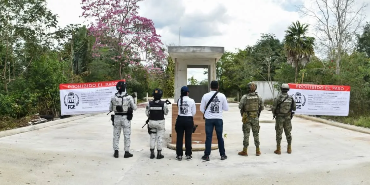 Aseguran predio en Cancún por presuntos daños ambientales ligados a desarrollo inmobiliario