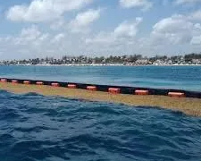 Alistan instalación de barreras antisargazo en Cancún; Playa Coral sería punto estratégico
