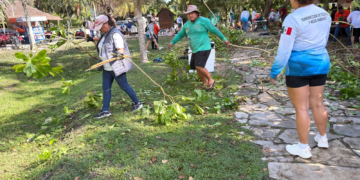 Retiran “lechuga de mar” en Bacalar: avanzan acciones para proteger la laguna y frenar especie invasora