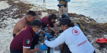 El mar casi lo mata: guardavidas rescatan a bañista inconsciente en playa de Cancún