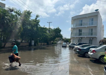 Donceles 28: la colonia fundacional de Cancún que lleva 40 años ahogada en promesas y aguas negras