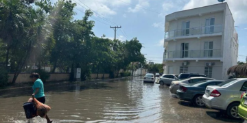 Donceles 28: la colonia fundacional de Cancún que lleva 40 años ahogada en promesas y aguas negras