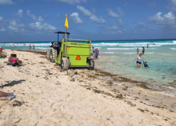 Sargazo invade Playa Marlín en Cancún; refuerzan limpieza urgente
