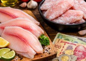 Cuaresma 2026: Profeco revela cuánto cuesta el kilo de tilapia; en Cancún llega hasta 150 pesos