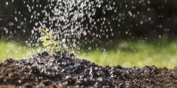 ¡100 millones para el campo! Conagua abre ventanilla para proyectos de tecnificación en Quintana Roo