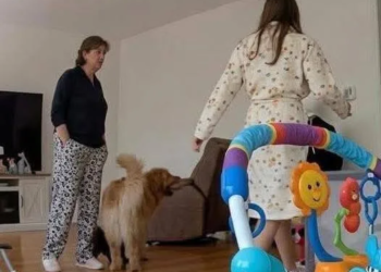 El pacto que no pudo salvar a Carolina: exreina asesinada por su suegra acordó que su bebé no quedara con ninguna abuela