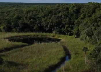 El paraíso escondido de Quintana Roo que enamora con selva, cenotes y turismo maya