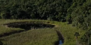El paraíso escondido de Quintana Roo que enamora con selva, cenotes y turismo maya