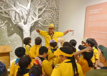 Niñas y niños scouts viven experiencia ambiental en Cozumel con actividades en Chankanaab