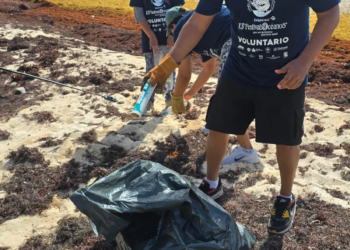 Puerto Morelos alza la voz por el mar: así arrancó el Festival de los Océanos