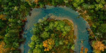 El planeta bajo presión: lo que revela el 22 de mayo sobre la crisis ambiental global