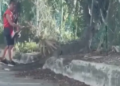 Vecino ayuda a cocodrilo a regresar al manglar en Cancún