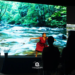 Cancún se convierte en cine con Cancunearte 2026 talento local sorprende