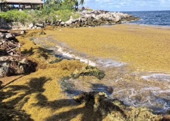 Mundial no llena hoteles; cae turismo en Quintana Roo