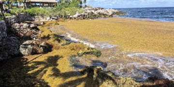 Mundial no llena hoteles; cae turismo en Quintana Roo