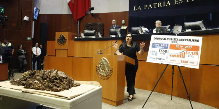 Mayuli Martinez exige recursos para atender la crisis en Quintana Roo