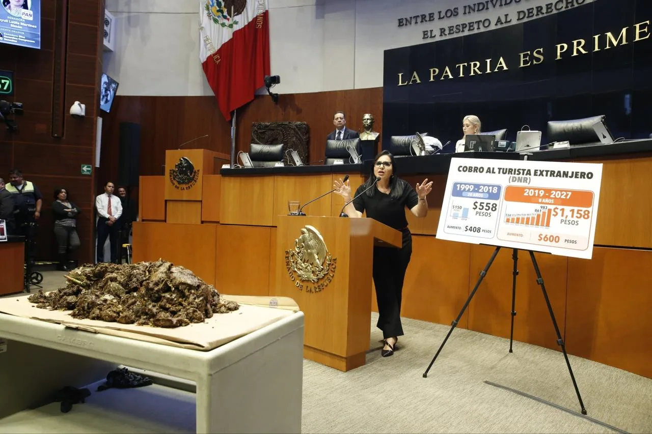 Mayuli Martinez exige recursos para atender la crisis en Quintana Roo