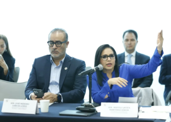 Mayuli Martínez votará contra el paquete económico 2027 por aumento al DNR